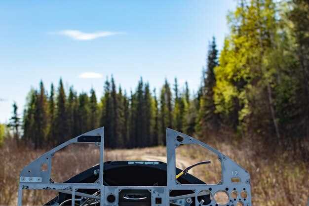 Сброс ошибок ECU перед стартом процедуры
