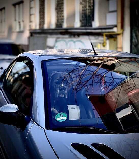 Использование подходящих материалов для повторной герметизации